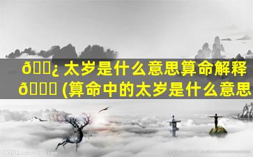 🌿 太岁是什么意思算命解释 🍁 (算命中的太岁是什么意思)